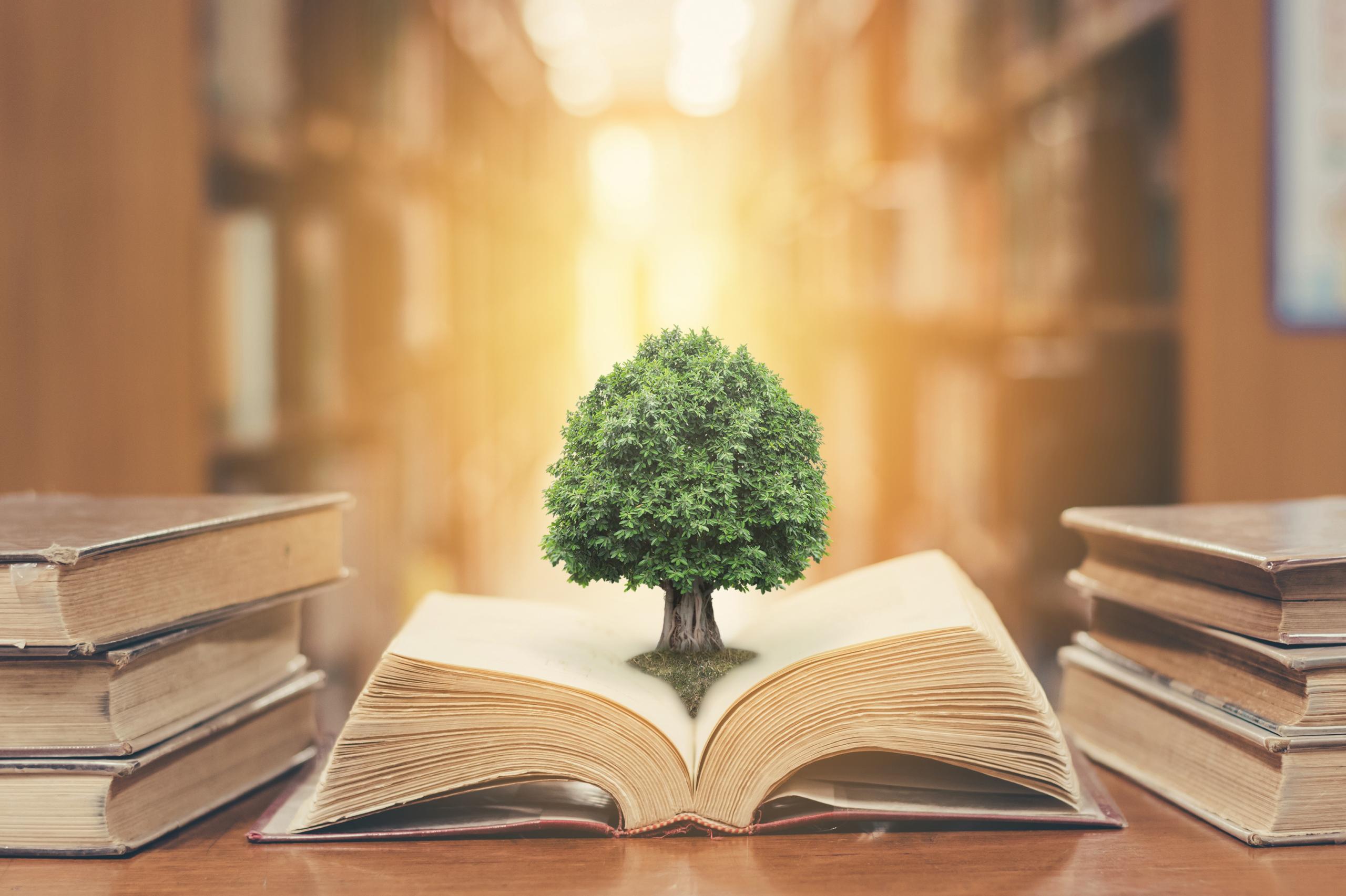 World philosophy day concept with tree of knowledge planting on opening old big book in library full with textbook, stack piles of text archive and blur aisle of bookshelves in school study class room